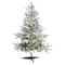 3ft. Pre-Lit Manchester Spruce Artificial Christmas Tree, Clear LED Lights